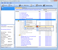 FTP Synchronizer screenshot